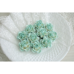 Шпалерная Роза  3,5 см Цвет Белый+мятный